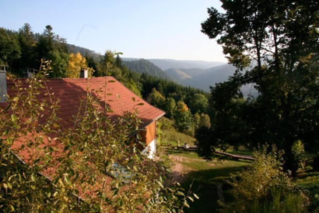 Appartement Dans Vielle Ferme Au Coeur Des Vosges Планфан Екстериор снимка