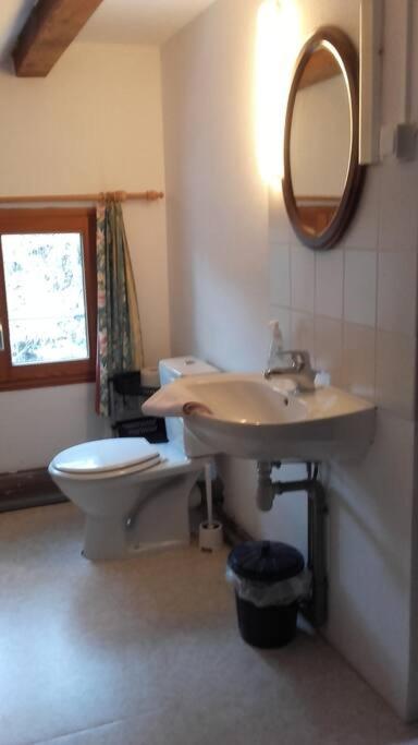 Appartement Dans Vielle Ferme Au Coeur Des Vosges Планфан Екстериор снимка