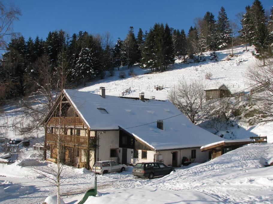 Appartement Dans Vielle Ferme Au Coeur Des Vosges Планфан Екстериор снимка